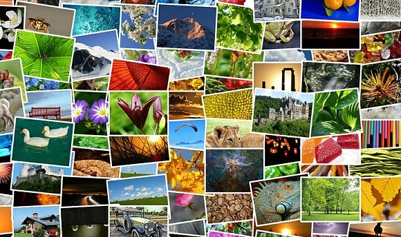 GLI ALBUM DI FOTOGRAFIE STAT